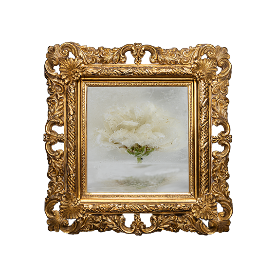 Metamorfose kunst 2026 sfeerbeeld, autonoom kunstwerk van Martine Goulmy